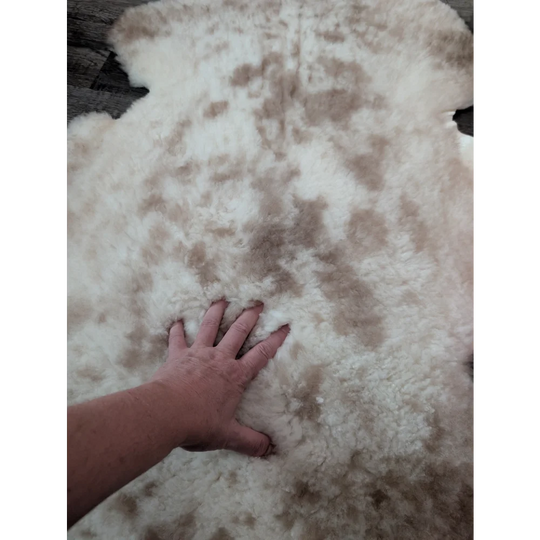A soft cream and beige speckled tibet highland spotted sheepskin rug with fluffy texture measuring 39.5 by 25 inches