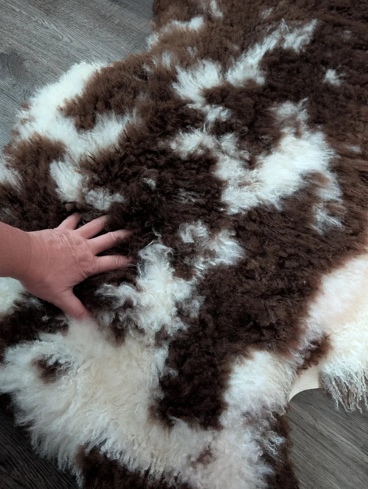 A plush brown and white tibet highland spotted sheepskin rug with soft curly texture measuring 42 by 27 inches