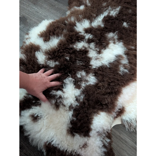 A plush brown and white tibet highland spotted sheepskin rug with soft curly texture measuring 42 by 27 inches