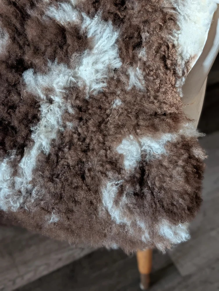 A plush curly brown and white tibet highland spotted sheepskin coat with a natural irregular pattern
