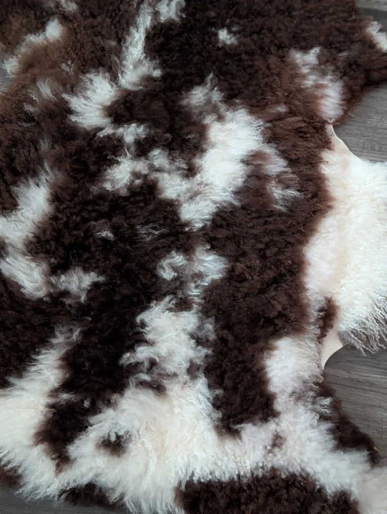 A plush grade a tibet highland spotted sheepskin rug with natural brown and white curly fur measuring 42 x 27 inches