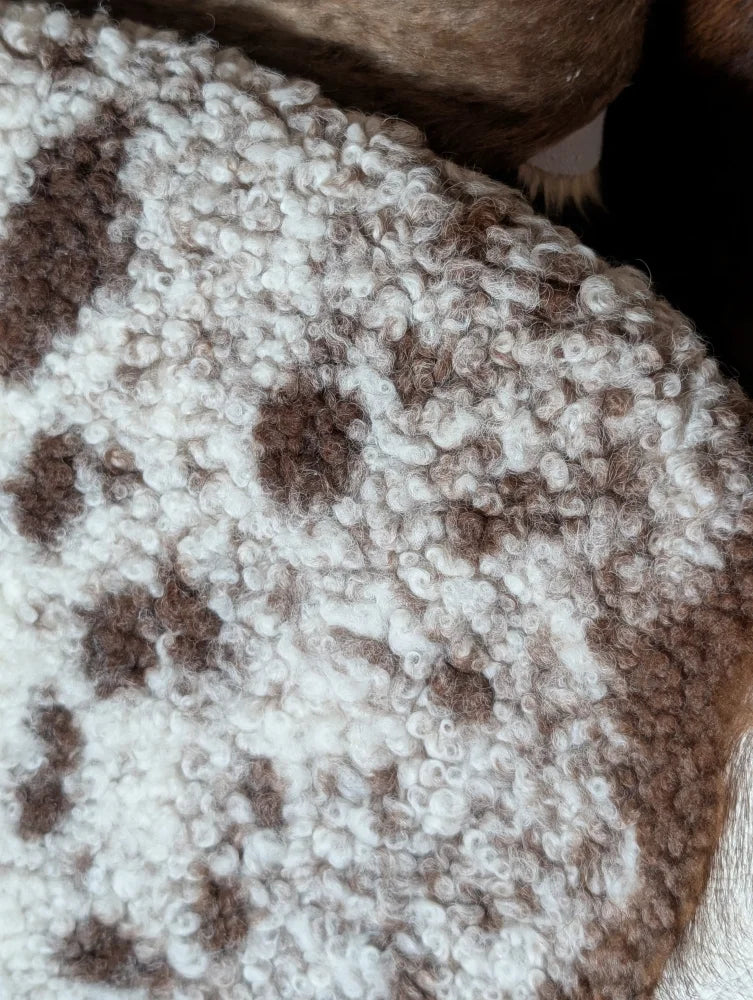 A cozy cream and brown tibet highland spotted sheepskin fleece blanket with soft curly texture sh31 40.5x24.5 inches