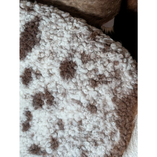 A cozy cream and brown tibet highland spotted sheepskin fleece blanket with soft curly texture sh31 40.5x24.5 inches