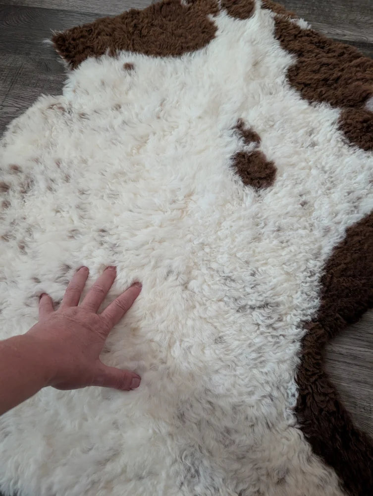 A plush white and brown tibet highland spotted sheepskin rug with soft curly texture measuring 39 by 25 inches