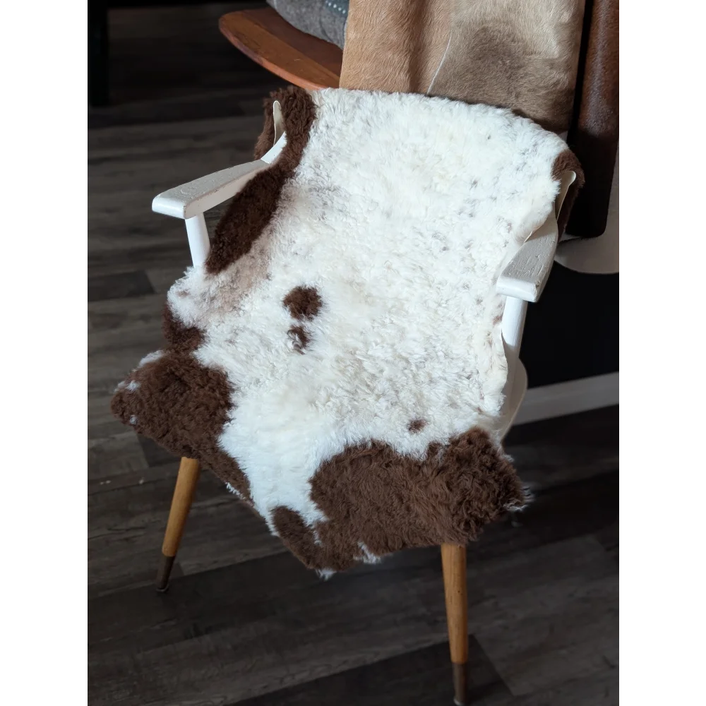 A plush white and brown tibet highland spotted sheepskin rug draped over a white wooden chair with fluffy texture