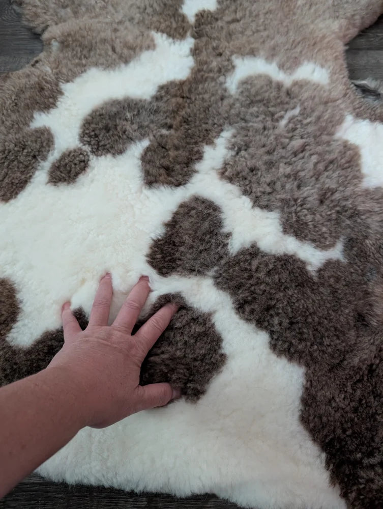 A plush 40 x 25 inch tibet highland spotted sheepskin rug with a brown and white spotted pattern grade a quality