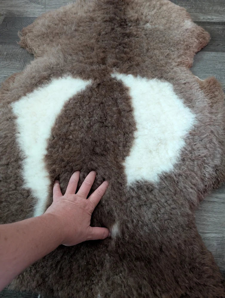 Brown and white fluffy tibet highland spotted sheepskin rug with natural texture 42 x 25.5 inches grade a