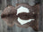 Brown and white tibet highland spotted sheepskin rug with natural fluffy texture 42 by 25.5 inches grade a quality