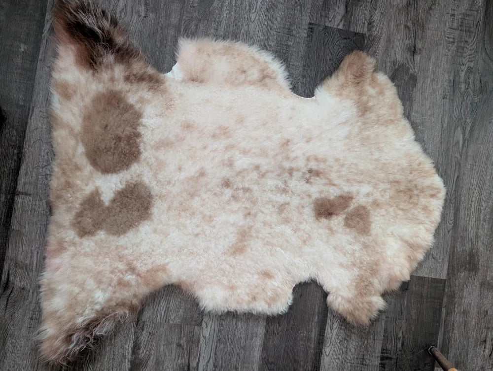 A soft cream and brown tibet highland spotted sheepskin rug with fluffy texture and organic shape 40 x 25 inches