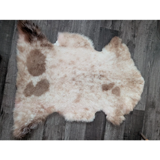 A soft cream and brown tibet highland spotted sheepskin rug with fluffy texture and organic shape 40 x 25 inches