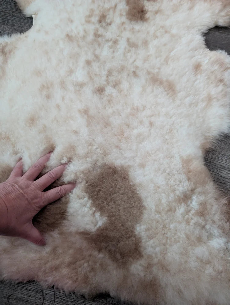 A 40 x 25 cream and tan tibet highland spotted sheepskin rug with fluffy texture and grade a quality