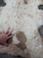 A 40 x 25 cream and tan tibet highland spotted sheepskin rug with fluffy texture and grade a quality