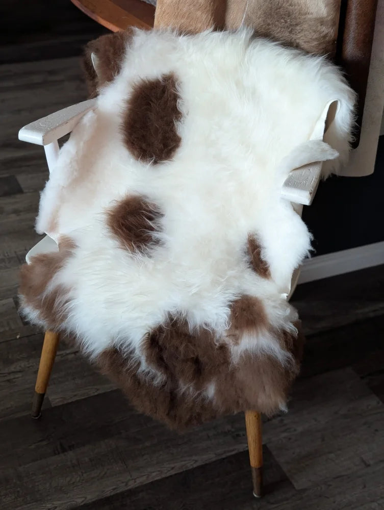 A plush white and brown tibet highland spotted sheepskin rug draped over a wooden chair showcasing its soft texture