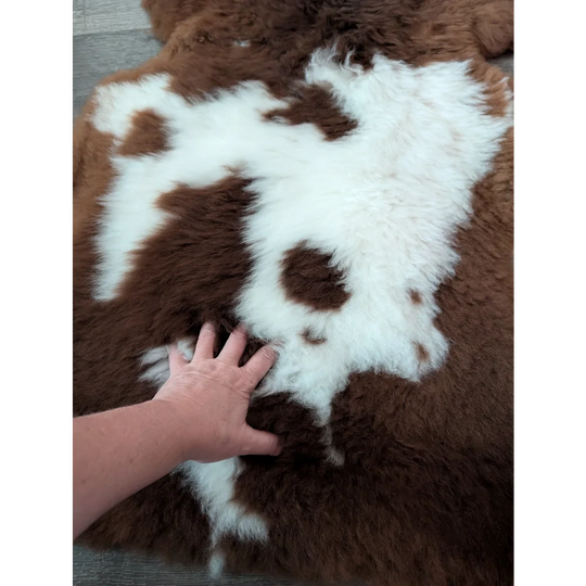 A plush brown and white tibet highland spotted sheepskin rug with soft fluffy texture sized 42 by 25 inches