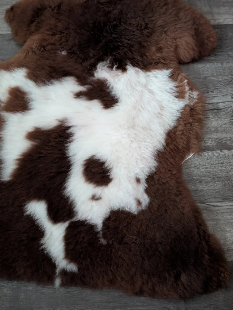 Brown and white tibet highland spotted sheepskin rug 42 by 25 inches soft and gorgeous highland spotted sheepskin