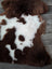 Brown and white tibet highland spotted sheepskin rug 42 by 25 inches soft and gorgeous highland spotted sheepskin