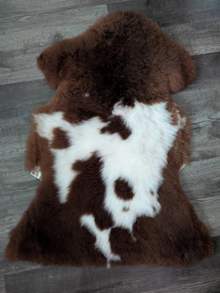 Brown and white highland spotted sheepskin rug 42 by 25 inches made from tibet highland spotted wool