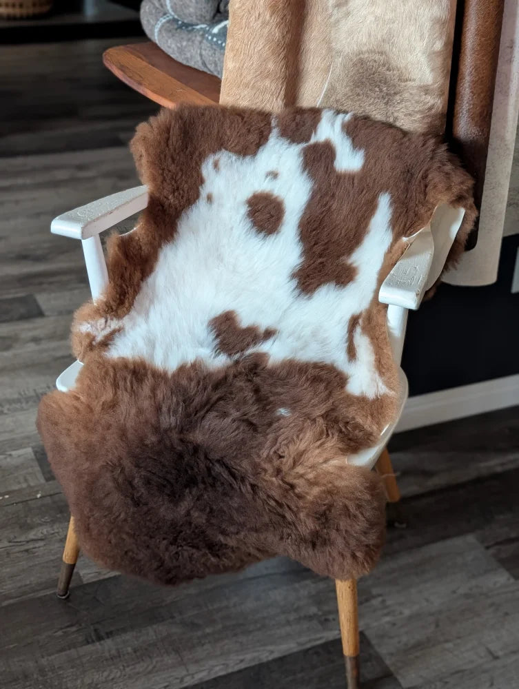 Brown and white tibet highland spotted sheepskin fur throw draped over a white wooden chair for cozy decor