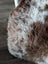 A plush curly brown and white tibet highland spotted sheepskin rug with soft natural texture 47 by 25 inches