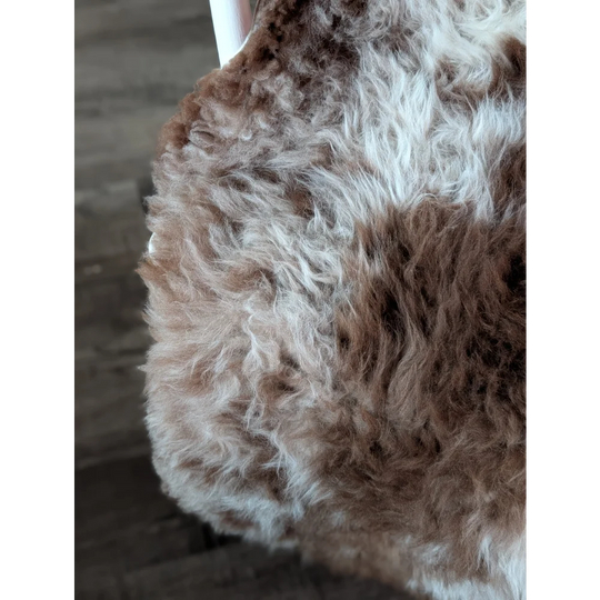 A plush curly brown and white tibet highland spotted sheepskin rug with soft natural texture 47 by 25 inches