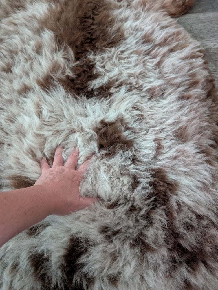 A plush tibet highland spotted sheepskin rug in cream and brown tones measuring 47 by 25 inches