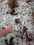 A plush tibet highland spotted sheepskin rug in cream and brown tones measuring 47 by 25 inches