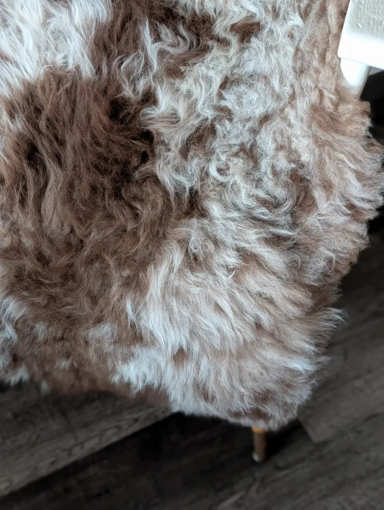 A plush curly brown and white tibet highland spotted sheepskin throw draped over a wooden chair
