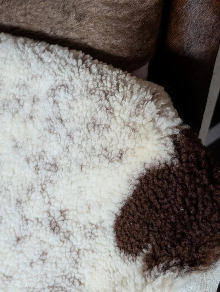 A cozy cream and brown tibet highland spotted sheepskin blanket with soft fluffy texture measuring 43.5 by 29.5 inches