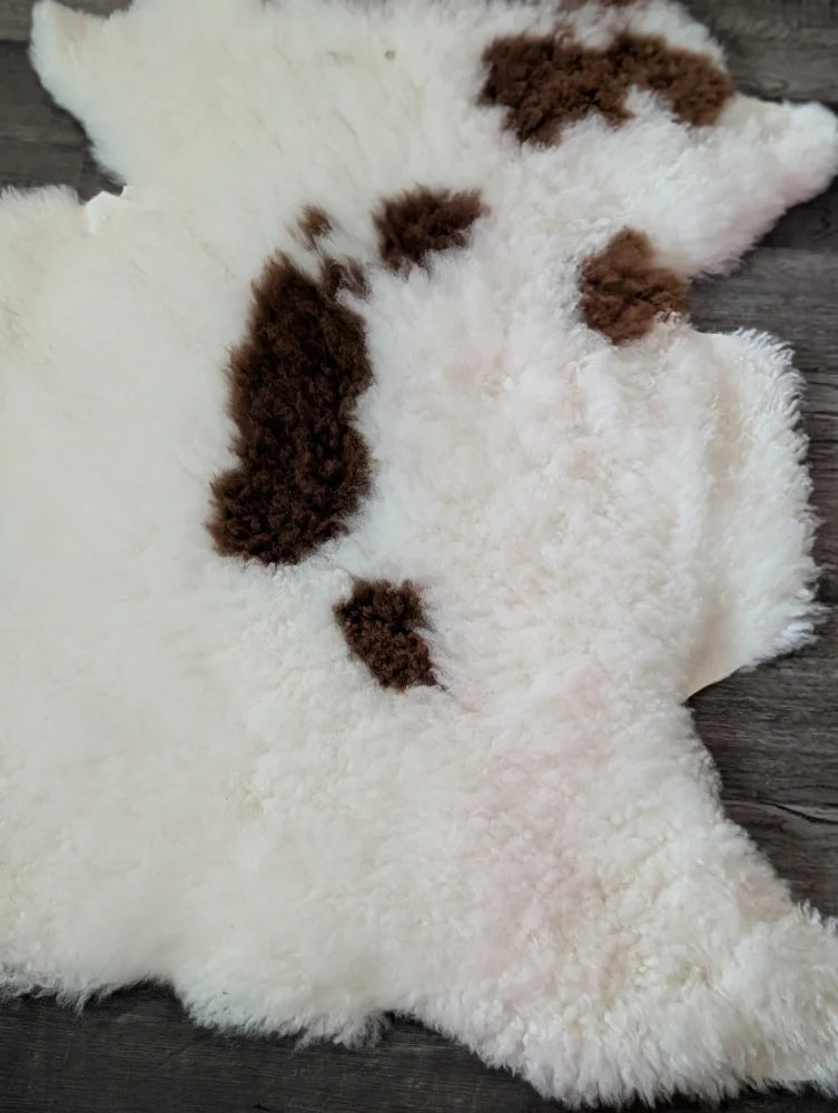 White and brown fluffy tibet highland spotted sheepskin rug perfect for cozy home decor and comfort