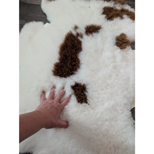 A plush white and brown tibet highland spotted sheepskin rug with soft curly texture measuring 41 by 26.5 inches