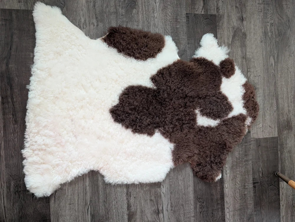A plush irregular tibet highland spotted sheepskin rug in natural white and brown cow print measuring 41 by 25 inches