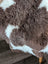 Brown and white tibet highland spotted sheepskin rug with natural fluffy texture perfect for cozy decor