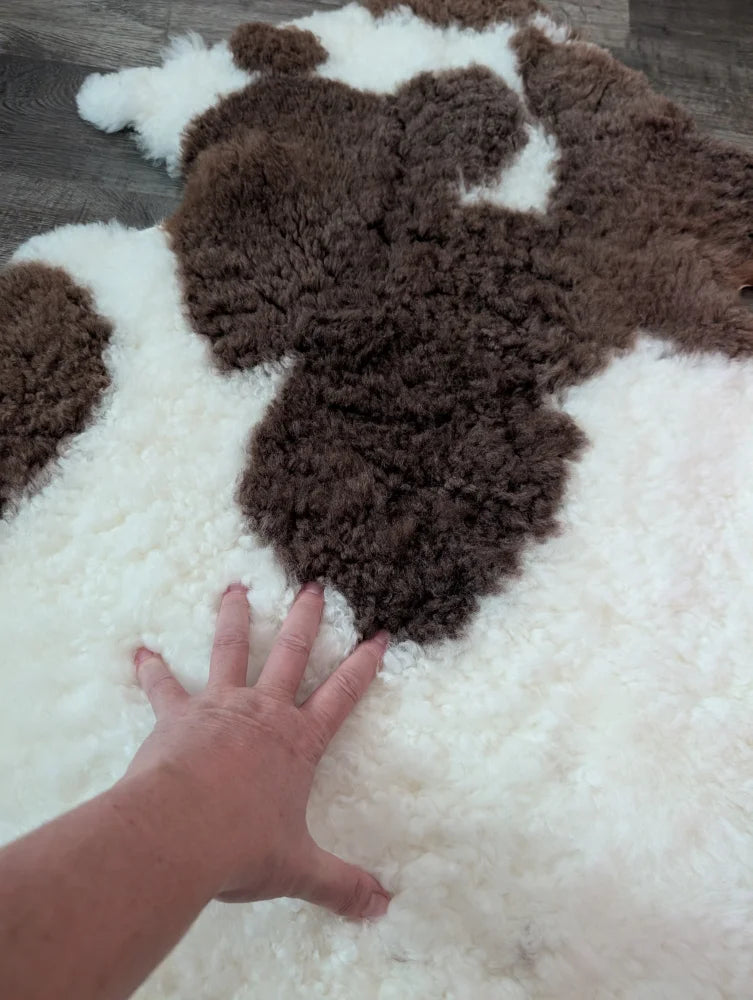A plush fluffy 41 x 25 tibet highland spotted sheepskin rug with soft white and brown fur texture