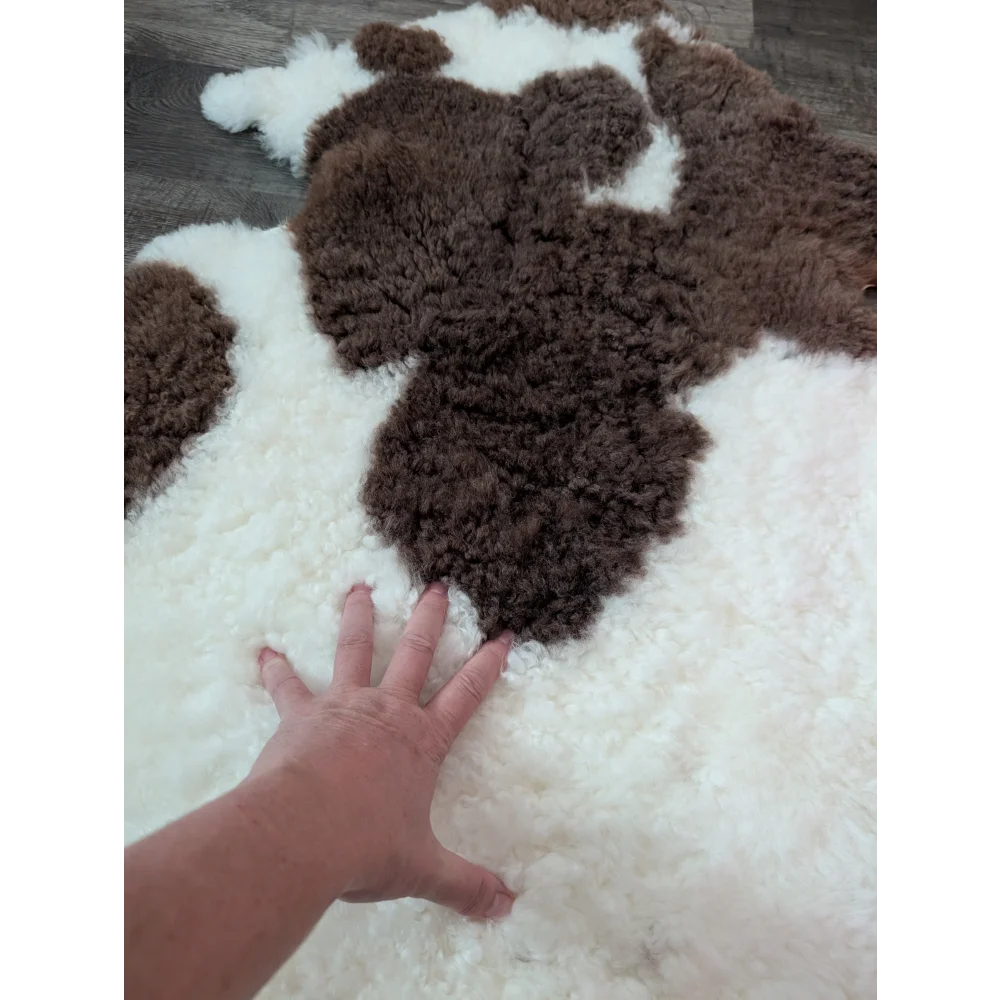 A plush fluffy 41 x 25 tibet highland spotted sheepskin rug with soft white and brown fur texture