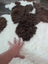 A plush fluffy 41 x 25 tibet highland spotted sheepskin rug with soft white and brown fur texture