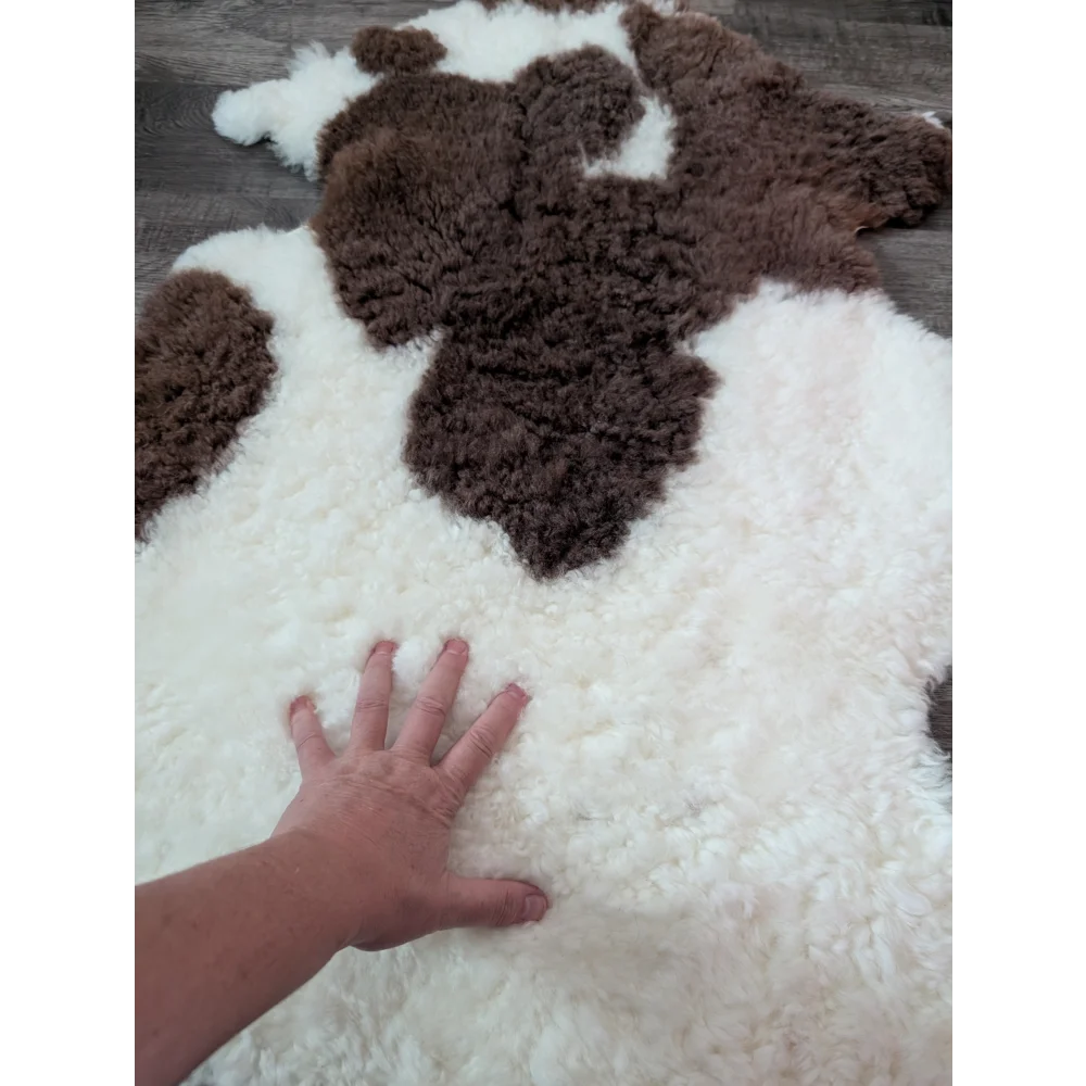A plush cream and brown highland spotted sheepskin rug with soft fluffy texture from tibet highland spotted collection