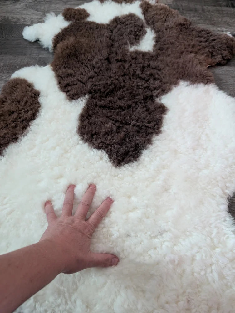 A plush cream and brown highland spotted sheepskin rug with soft fluffy texture from tibet highland spotted collection
