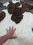 A plush cream and brown highland spotted sheepskin rug with soft fluffy texture from tibet highland spotted collection