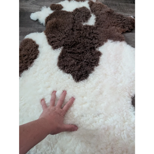 A plush cream and brown highland spotted sheepskin rug with soft fluffy texture from tibet highland spotted collection