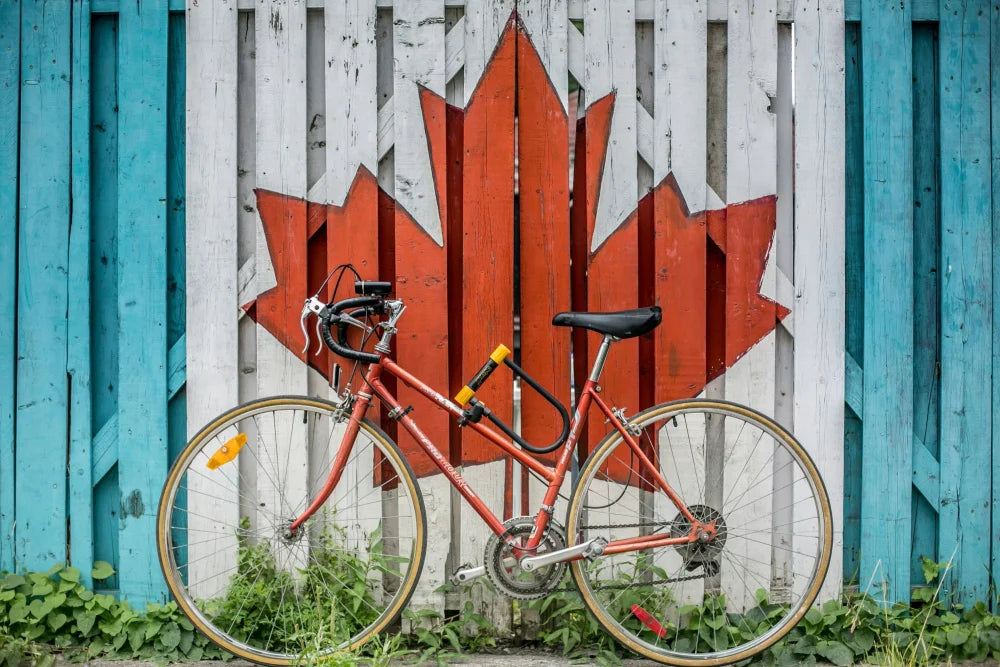 A rust-colored bicycle with black seat and handlebars and a yellow lock on the frame featured in sharons cowhide salty#1