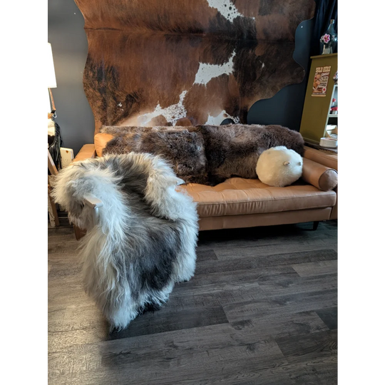 Tan leather sofa with a long wool icelandic thick fluffy brown and white sheepskin throw draped over it