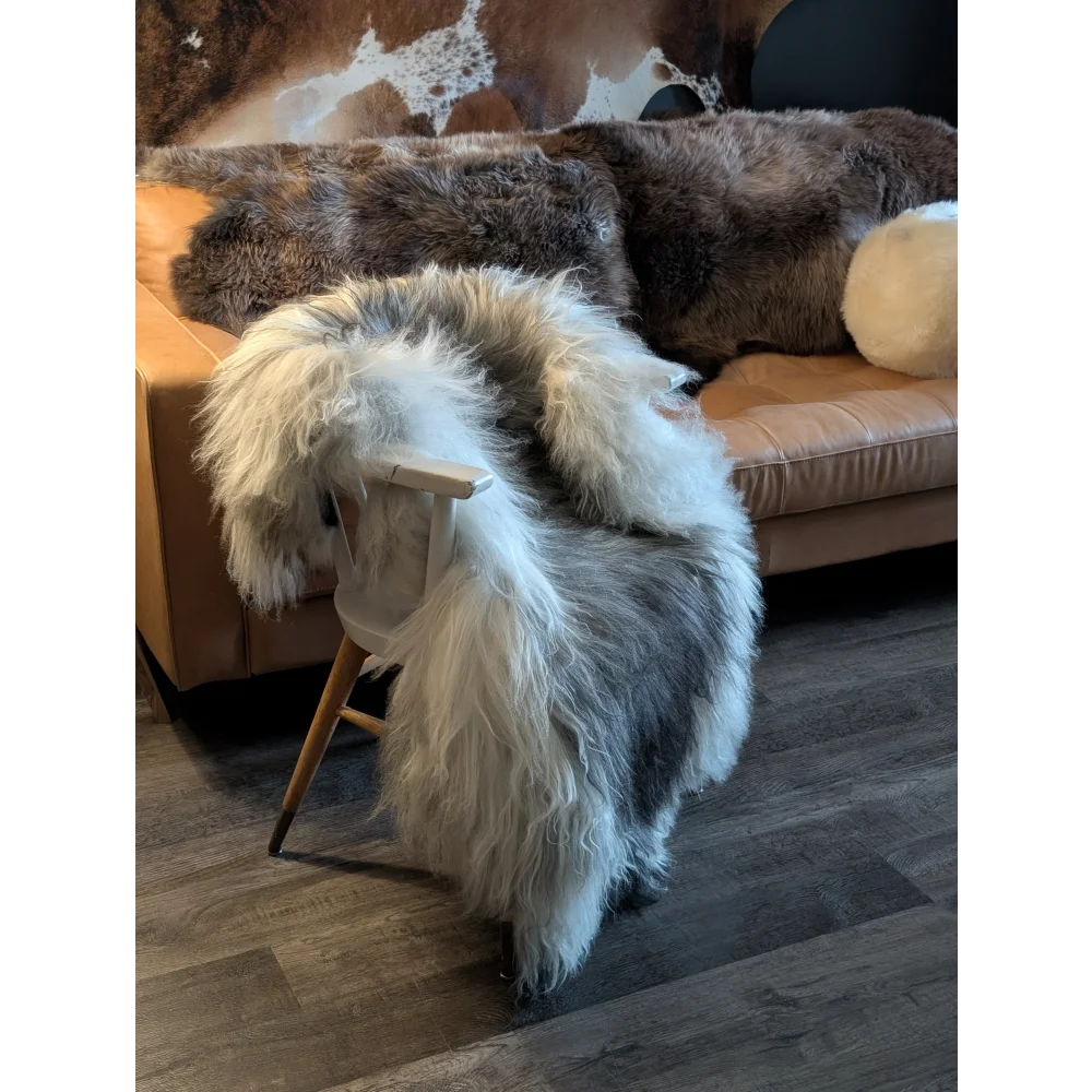 A plush long wool icelandic sheepskin throw in natural grey draped over a wooden chair back measuring 58 by 37 inches
