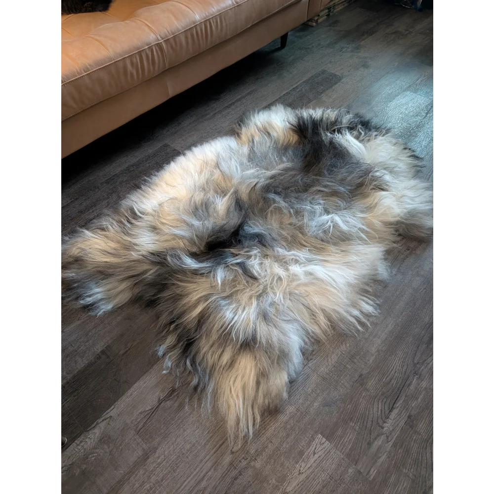 A plush icelandic sheepskin rug with long wool icelandic in natural grey cream gray and black tones measuring 58 by 37 inches