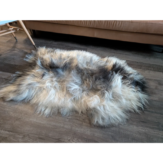 A massive 58 by 37 inch long wool icelandic sheepskin rug in natural grey with white gray and black fur on a wooden floor