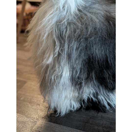 A fluffy long-haired dog on a massive icelandic sheepskin rug in natural grey wool icelandic style