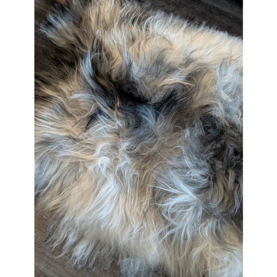 A massive 58 by 37 inch icelandic sheepskin rug with long wool icelandic in natural cream gray and black colors