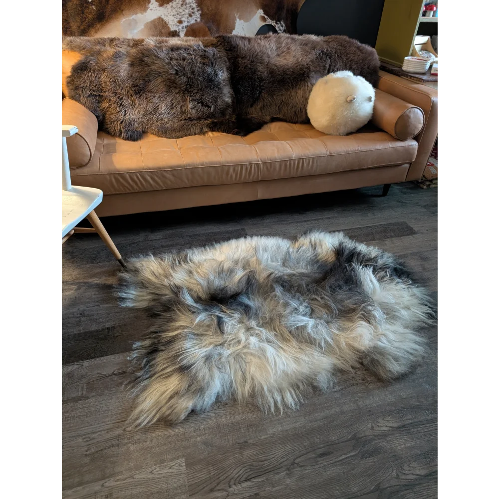 A plush multicolored icelandic sheepskin rug with long wool icelandic in natural grey on wooden floor