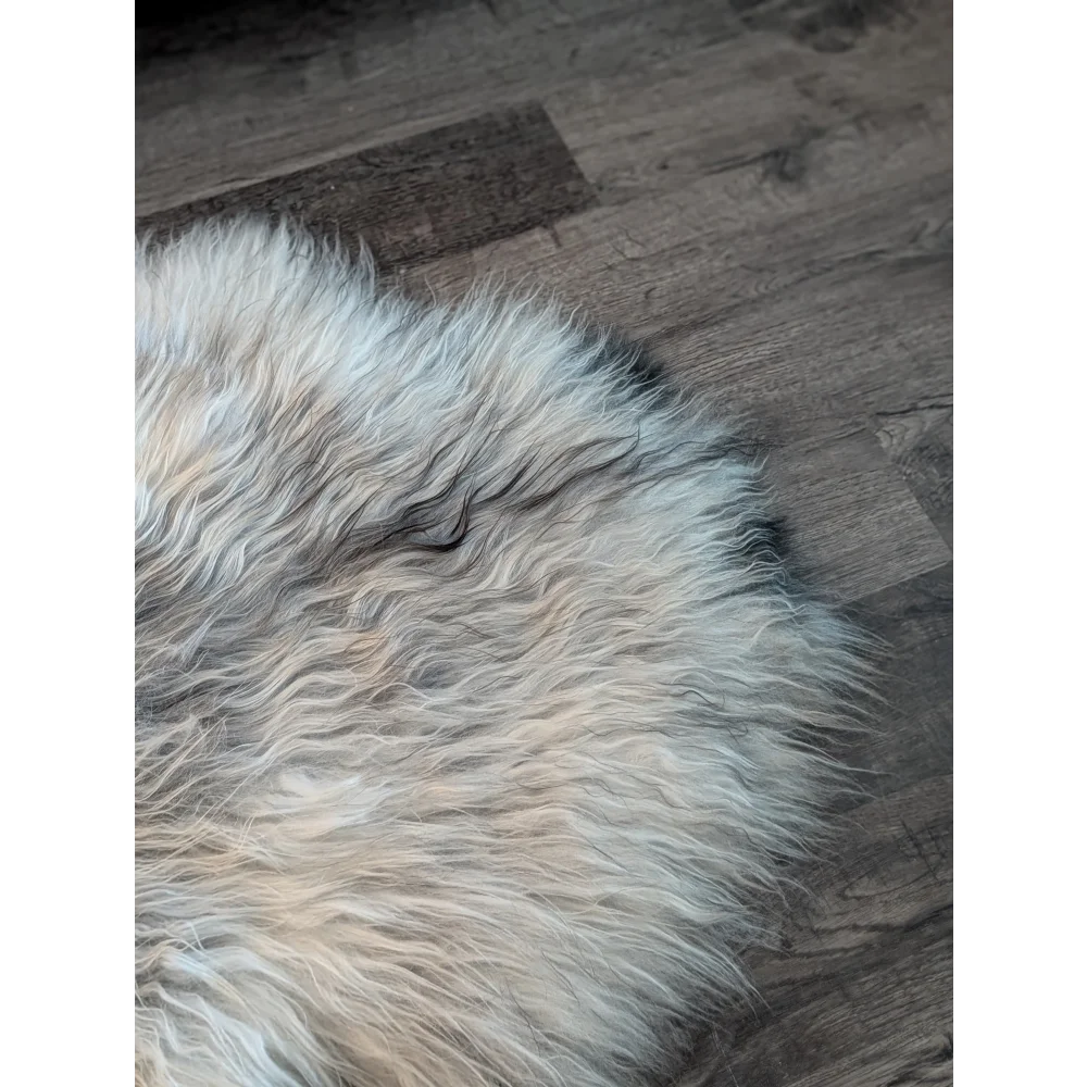 A huge 55 by 35 inch natural grey long wool icelandic sheepskin rug with soft fluffy texture on dark wood floor