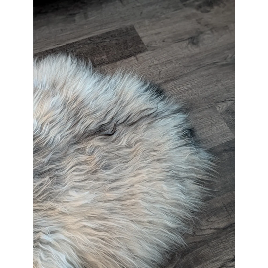 A huge 55 by 35 inch natural grey long wool icelandic sheepskin rug with soft fluffy texture on dark wood floor