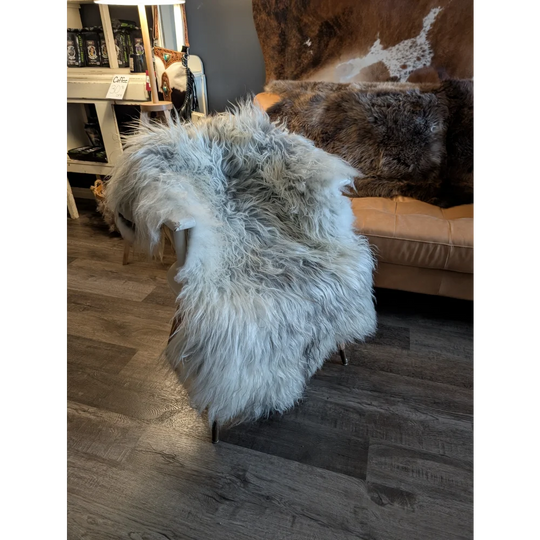 A plush light gray icelandic sheepskin throw with long wool icelandic texture draped over a chair